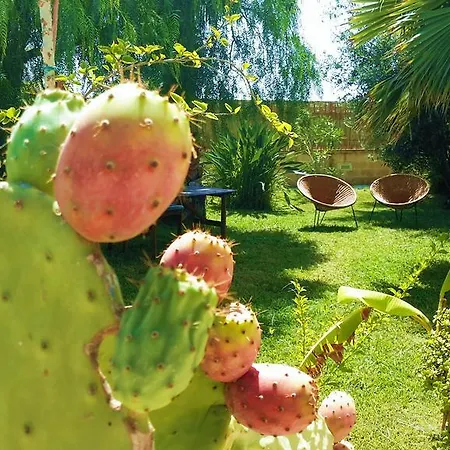 Ficomoro Apartment Donnalucata (Sicily)