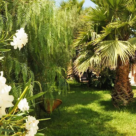 Apartment Ficomoro *
