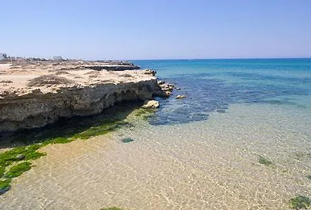 Ficomoro * Donnalucata (Sicily)