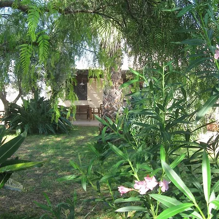 Ficomoro Apartment