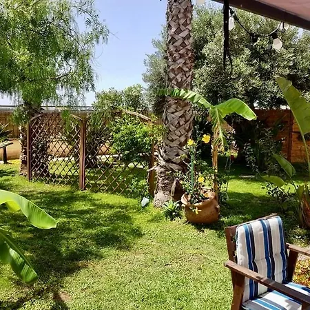 Ficomoro * Donnalucata (Sicily)